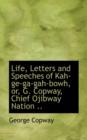 Life, Letters and Speeches of Kah-GE-Ga-Gah-Bowh, Or, G. Copway, Chief Ojibway Nation .. - Book