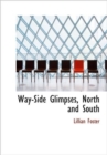 Way-Side Glimpses, North and South - Book