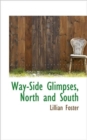 Way-Side Glimpses, North and South - Book