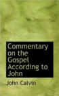 Commentary on the Gospel According to John - Book