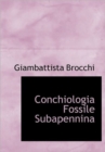 Conchiologia Fossile Subapennina - Book