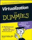 Virtualization For Dummies - eBook