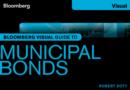 Bloomberg Visual Guide to Municipal Bonds - Book