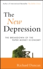 The New Depression : The Breakdown of the Paper Money Economy - eBook
