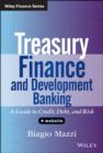 Treasury Finance and Development Banking : A Guide to Credit, Debt, and Risk - Biagio Mazzi