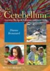 The Cerebellum : Learning Movement, Language, and Social Skills - eBook