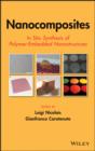 Nanocomposites : In Situ Synthesis of Polymer-Embedded Nanostructures - eBook