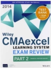 Wiley CMA Learning System Exam Review 2014, Instructor's Guide : Financial Decision Making Pt. 2 - Book