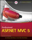 Professional ASP.NET MVC 5 - eBook
