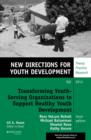 Transforming Youth Serving Organizations to Support Healthy Youth Development : New Directions for Youth Development, Number 139 - eBook