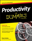 Productivity For Dummies - Book