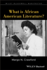 What is African American Literature? - Book