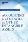 Accounting for Goodwill and Other Intangible Assets - eBook