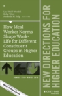 How Ideal Worker Norms Shape Work-Life for Different Constituent Groups in Higher Education : New Directions for Higher Education, Number 176 - Book