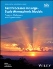 Fast Processes in Large-Scale Atmospheric Models : Progress, Challenges, and Opportunities - eBook