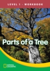 World Windows 1 (Science): Parts Of A Tree Workbook - Book