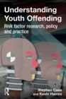 Understanding Youth Offending : Risk Factor Reserach, Policy and Practice - eBook