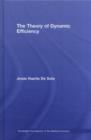 The Theory of Dynamic Efficiency - eBook