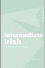 Intermediate Irish: A Grammar and Workbook - Nancy Stenson