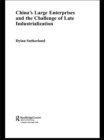 China's Large Enterprises and the Challenge of Late Industrialisation - eBook