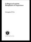 Collingwood and the Metaphysics of Experience - eBook