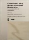 Parliamentary Party Groups in European Democracies : Political Parties Behind Closed Doors - eBook