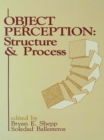 Object Perception : Structure and Process - eBook