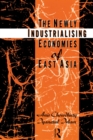 The Newly Industrializing Economies of East Asia - eBook