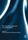 The Capability Approach and Sustainability - eBook