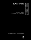 Kashmiri : A Cognitive-Descriptive Grammar - eBook