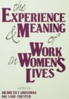 The Experience and Meaning of Work in Women's Lives - eBook