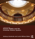 Human Rights and the Criminal Justice System - eBook