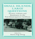Small Islands, Large Questions : Society, Culture and Resistance in the Post-Emancipation Caribbean - eBook