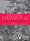 Critical Pedagogies of Consumption : Living and Learning in the Shadow of the "Shopocalypse" - eBook