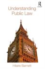 Understanding Public Law - eBook