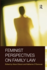 Feminist Perspectives on Family Law - eBook