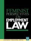 Feminist Perspectives on Employment Law - eBook