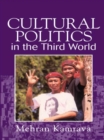 Cultural Politics in the Third World - eBook