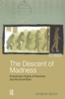 The Descent of Madness : Evolutionary Origins of Psychosis and the Social Brain - eBook