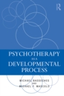 Psychotherapy as a Developmental Process - eBook