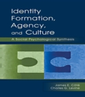 Identity, Formation, Agency, and Culture : A Social Psychological Synthesis - eBook