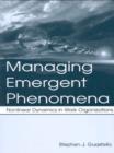 Managing Emergent Phenomena : Nonlinear Dynamics in Work Organizations - eBook