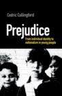 Prejudice : From Individual Identity to Nationalism in Young People - eBook