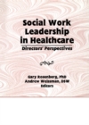Social Work Leadership in Healthcare : Director's Perspectives - eBook