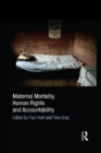 Maternal Mortality, Human Rights and Accountability - eBook