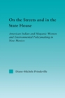 On the Streets and in the State House : American Indian and Hispanic Women and Environmental Policymaking in New Mexico - eBook