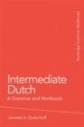 Intermediate Dutch: A Grammar and Workbook - eBook