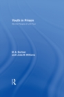 Youth in Prison : We the People of Unit Four - eBook