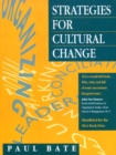 Strategies for Cultural Change - eBook
