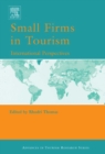 Small Firms in Tourism - eBook